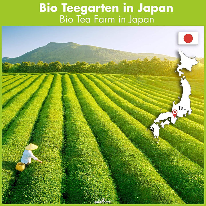 Set Goodwei Matcha cu tel pentru matcha, bol pentru matcha, suport pentru tel din ceramică și ceai matcha organic din Japonia | Set cadou (Kumo)