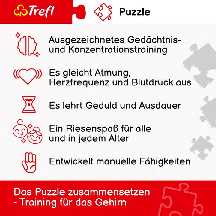 Trefl - Puzzle 2In1: Capitale europene - 2 X 500 piese - Set de două puzzle-uri, Bricolaj, Divertisment creativ, Pentru adulți și copii peste 10 ani