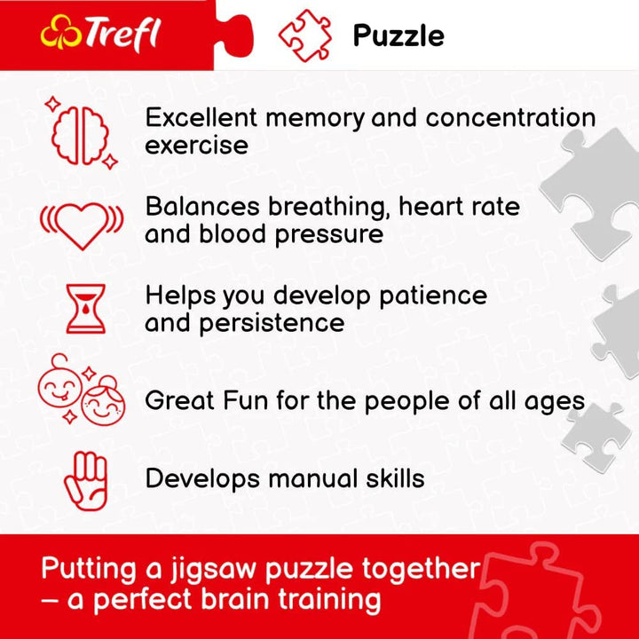 Trefl TR10461 Samudra Beach, India 1000 piese, calitate premium, pentru adulți și copii de la 12 ani Puzzle, colorat