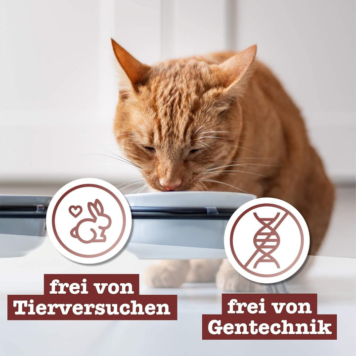 Catz Finefood N° 3 Poultry Delicatessen Hrană umedă pentru pisici, hrană umedă premium pentru pisici fără cereale și zahăr cu conținut ridicat de carne (6 X 300G Bag)