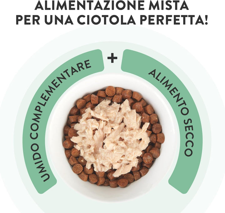 , File de ton cu roșioară în jeleu, Hrană umedă complementară pentru pisici, Rețetă originală, 100% naturală, 12 cutii la 70 G