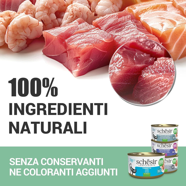, File de ton cu merluciu în jeleu, Hrană umedă complementară pentru pisici, Rețetă originală, 100% naturală, 12 pungi a câte 70 g