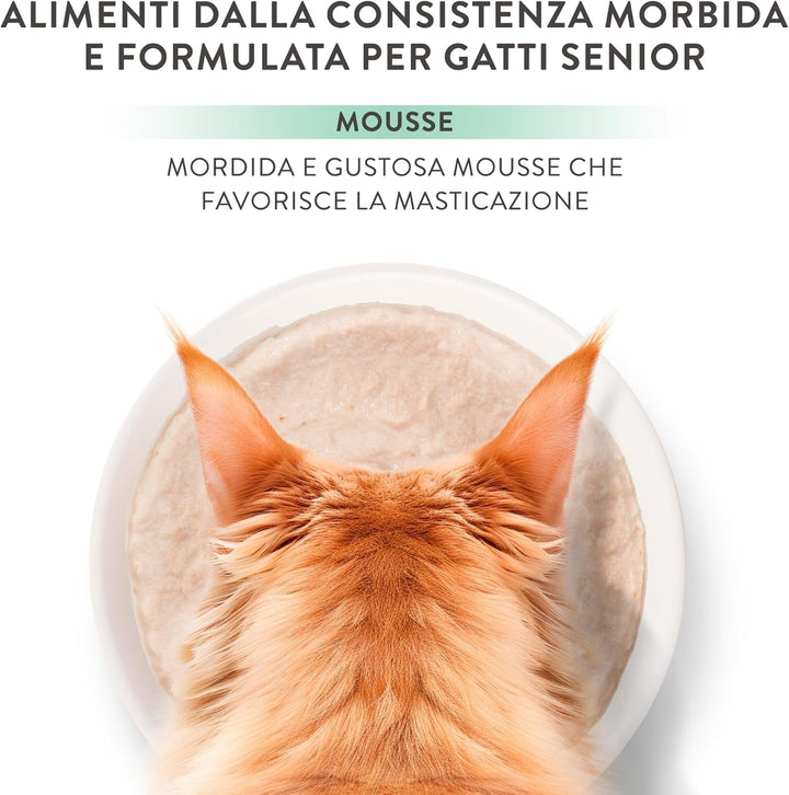 Title: Silver, Mâncare umedă completă cu aromă de pui din mousse pentru pisici mai în vârstă (12 X 80 G)