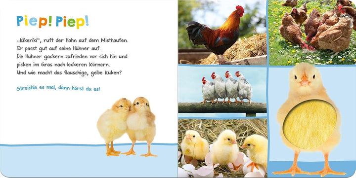 Ascultă, cine ar putea fi? - Animale de fermă: mângâie și ascultă | Carte ilustrată din carton de înaltă calitate cu 5 sunete și elemente tactile pentru copii cu vârsta de peste 18 luni Jucarii Bebe Naty Shop