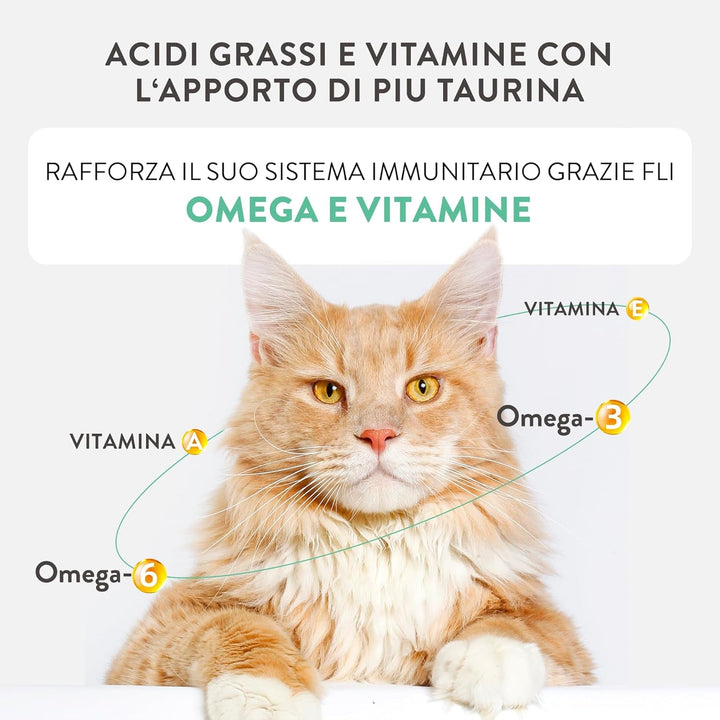 Silver, aromă de ton și macrou, hrană umedă completă pentru pisici în vârstă (12 cutii a 70 g)