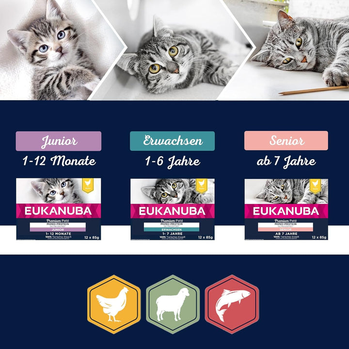 EUKANUBA Senior Cat Food Wet Grain Free - Hrană umedă premium cu mult somon pentru pisici în vârstă, 12 X 85 G