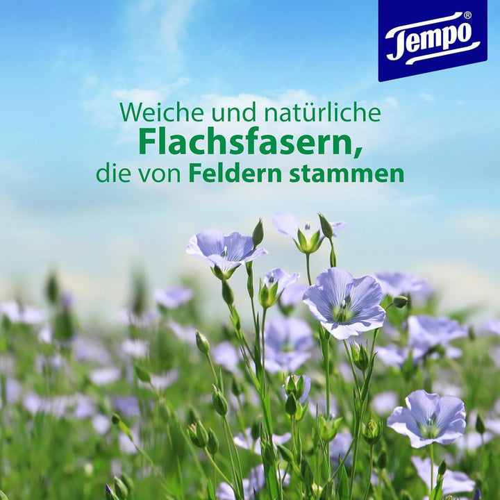 Șervețele igienice umede Tempo Avocade & Shea Butter, 16 pachete, megapack, 8 bucăți, 42 de șervețele