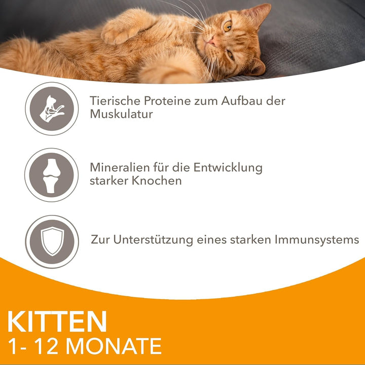 IAMS Delights Kitten Hrană umedă - Multipack Hrană pentru pisici cu pui în sos, hrană de înaltă calitate pentru pisoi junior de la 1-12 luni, 12 X 85G