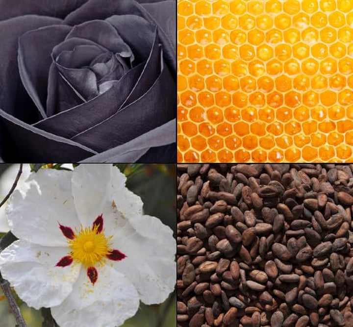 Deodorant parfumat aromatic TESORI D'ORIENTE „Byzantium” 150 ml, cu trandafir negru și labdanum, protecție 24 de ore, ritual de wellness pentru corp și simțuri