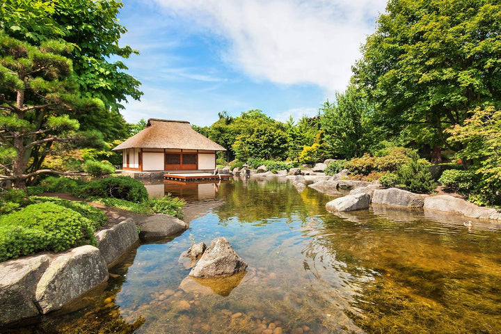 Sencha Ceai verde din Japonia, cultivat sub soarele primăverii | Recoltat în mai 2024 | Ceai de cea mai bună calitate, direct din plantații premiate | Ideal pentru toți iubitorii de ceai și ca cadou (100 g)