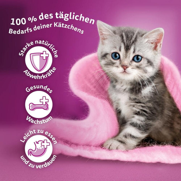 Hrană umedă pentru pisici Whiskas Junior Classic Choice în sos, 48 de pliculețe, 12X85G (pachet de 4) - Hrană umedă pentru pisici de înaltă calitate, pentru pisici în creștere de la 2 la 12 luni