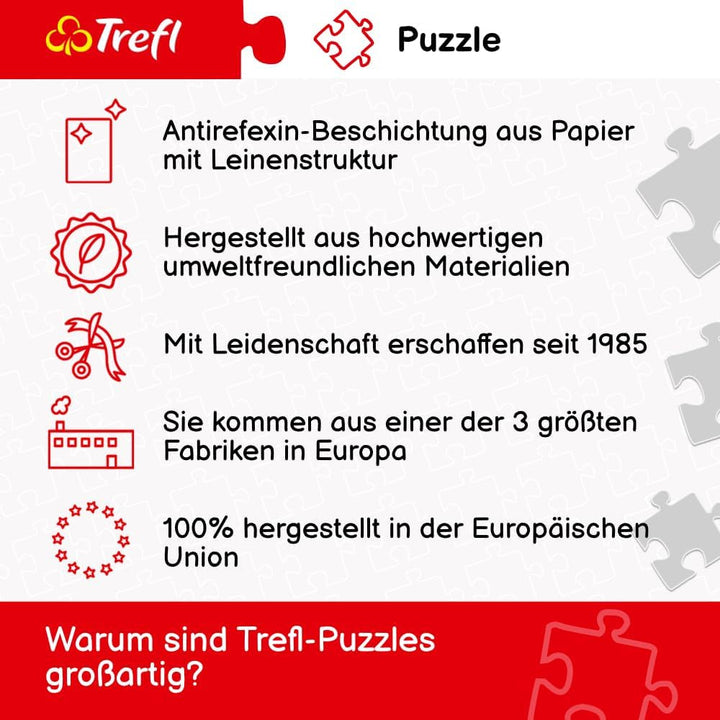 Trefl - Puzzle 2In1: Capitale europene - 2 X 500 piese - Set de două puzzle-uri, Bricolaj, Divertisment creativ, Pentru adulți și copii peste 10 ani