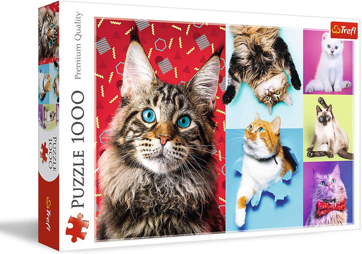 Puzzle Jigsaw - "1000" - Portrete de câini amuzante