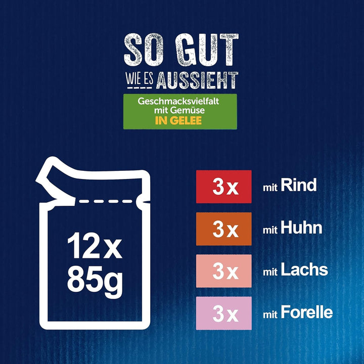 FELIX so Gut Wie Es Aussieht hrană pentru pisici umedă în jeleu, variety mix, pachet de 6 (6 X 12 pungi a 85G)