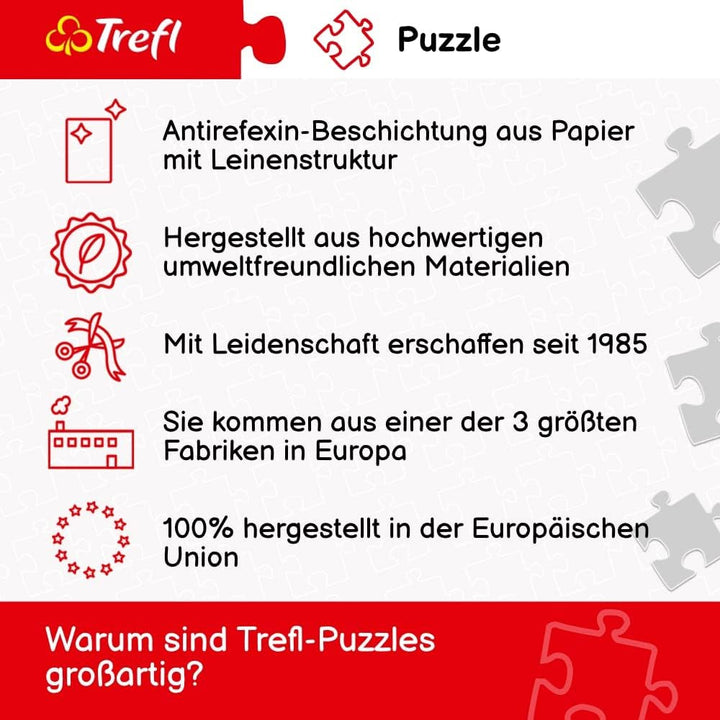 Puzzle 1000 Leu colorat
