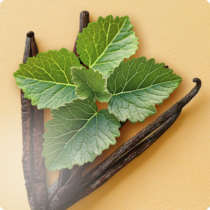 Elie Saab Girl of Now Shine 90 ml – Apă de parfum pentru femei – Parfum gurmand pudrat – Note de ananas, floare de migdal, vanilie și paciuli – Sticlă transparentă din sticlă