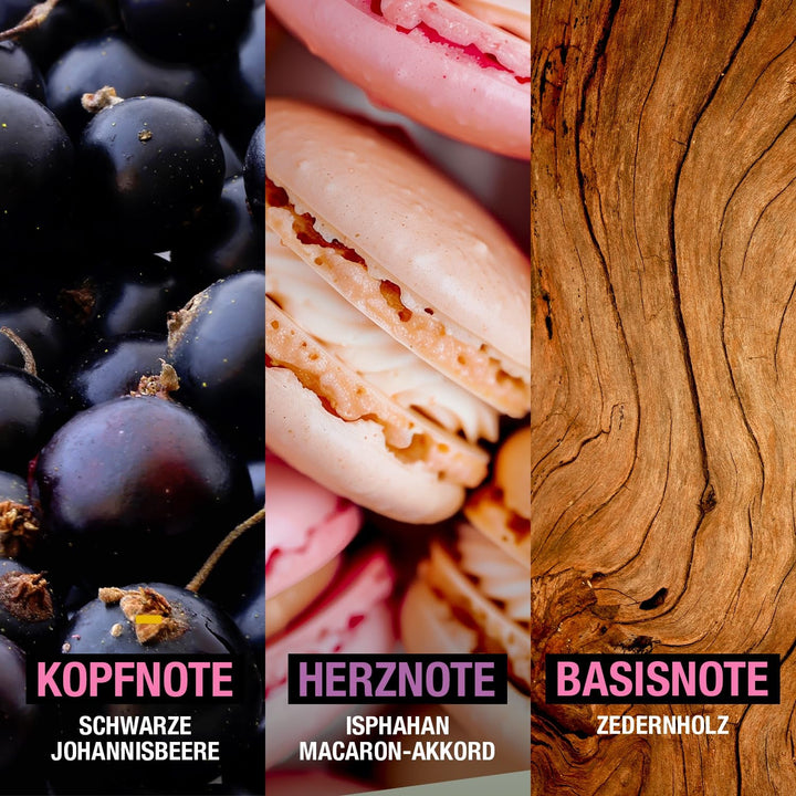 Manhattan Lasting Love Eau De Parfum, parfum floral de trandafir pentru femei cu coacăze negre, iasomie și mosc, 100 ml