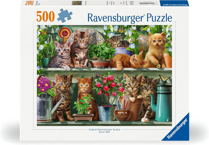 Ravensburger Puzzle 12000205 - Katzen Im Regal - puzzle jigsaw de 500 de piese pentru adulți și copii de peste 10 ani, puzzle animalier cu motiv de pisică