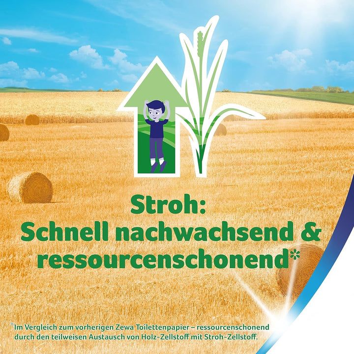 Zewa Hârtia igienică dovedită de mușețel cu paie 7X 8Rulouri