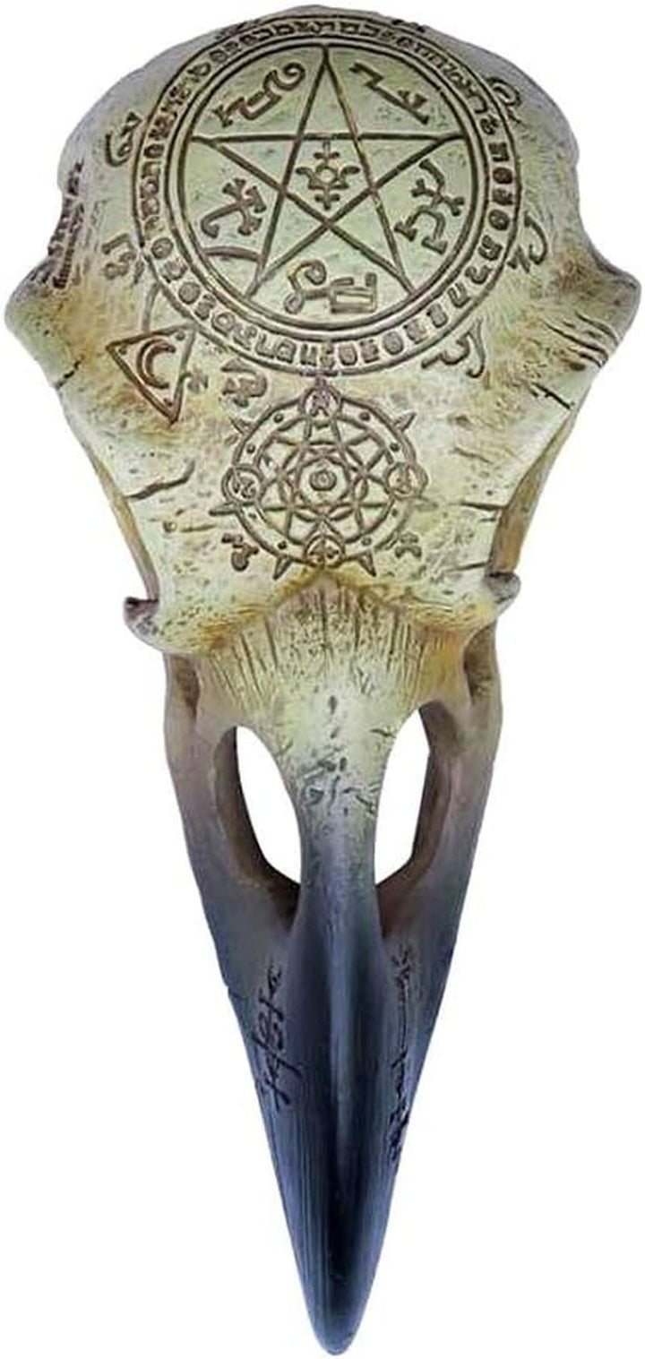 Omega Raven Skull Statuete si sculpturi Naty Shop